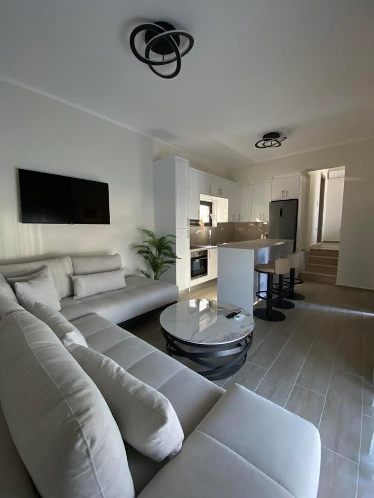 Ionian Stone Luxury Villa Никиана Экстерьер фото