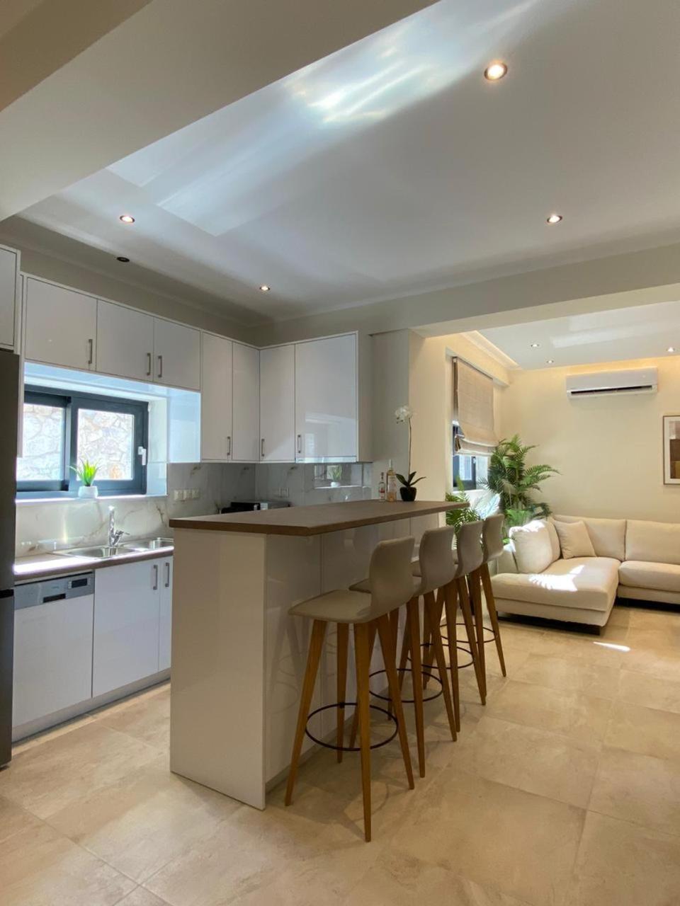 Ionian Stone Luxury Villa Никиана Экстерьер фото